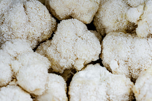 Lions Mane Mushrooms